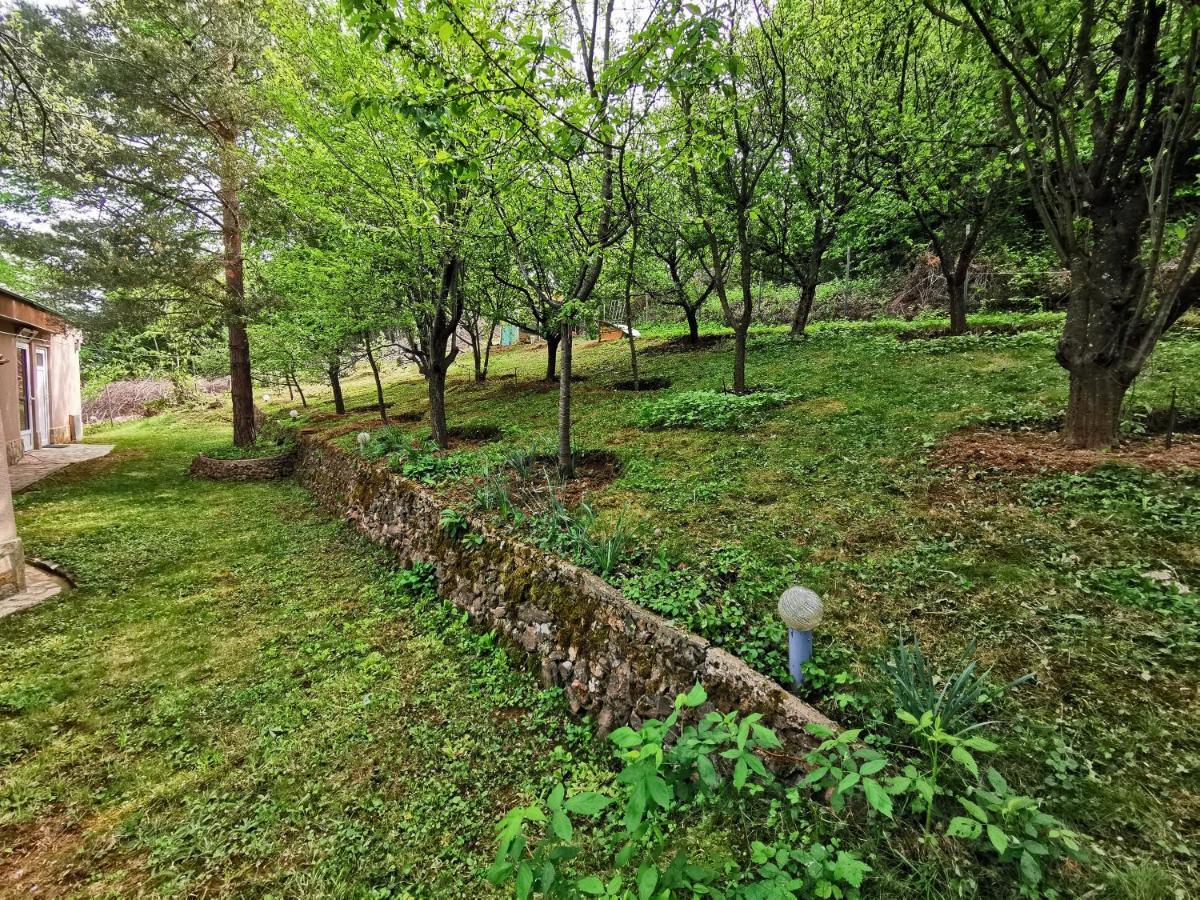 Villa Aqua Pravets Bagian luar foto